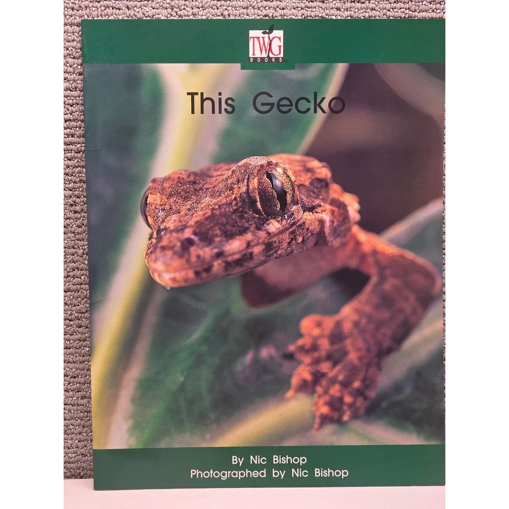 This Gecko by Nic Bishop TWIG Books Big Book Nonfiction Wright Group 0322001927